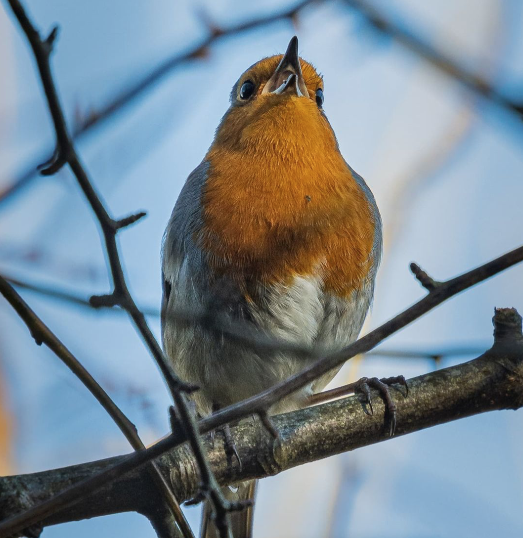 Gregory Phillipson Photography